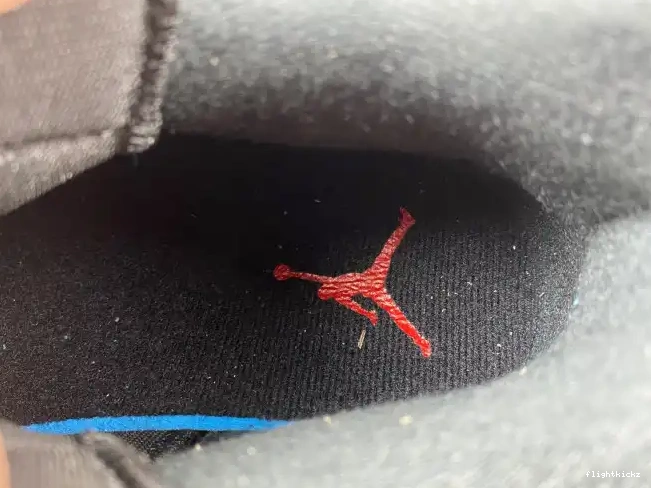 Bred Jordan FQ1579-006 Spizike Low 0611